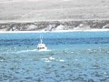 Into The Blue - Roddy Woomble (filmed at Caol Ila, Islay) Fifty Shades of ... Blue!