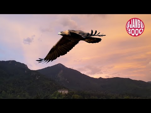 Play Video Youtube Video