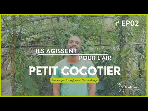 ILS AGISSENT POUR L’AIR : Petit Cocotier #EP02