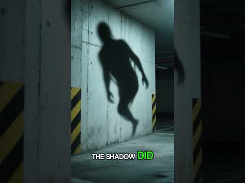 The Shadow That Moves Alone 👤