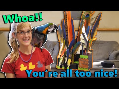 An Awesome Feather Display in our Mail?! (Fan Mail Part 20)