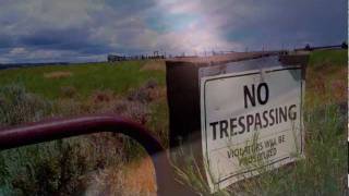 The Walkabouts "Neu Death Valley"