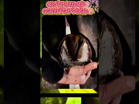 So much dirt was dug out from the horse's hooves. #asmr #horse #relaxation #comfort