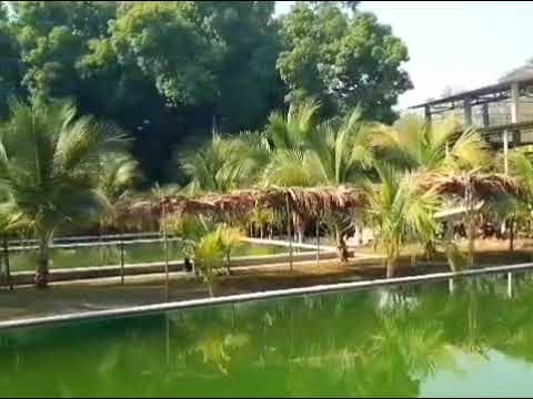 img-video