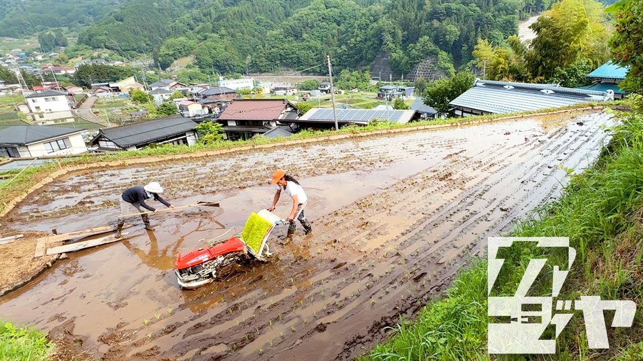 お米づくり騒動記「中編」 スギモト商店でお宝発掘