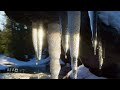 Frozen Icicles Over Stream ❄️✨ Cinematic Ice Crystals & Winter Light | AI Nature Ambience