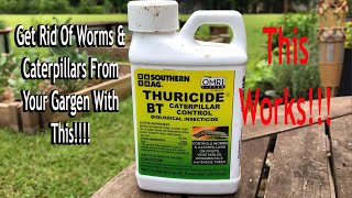 Organic Ways to Control Bad Worms in the Garden. BT Bacillus Thuringiensis #raisedgardenbeds