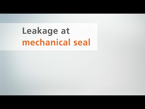 System check – Part 5: Mechanical seal leakage