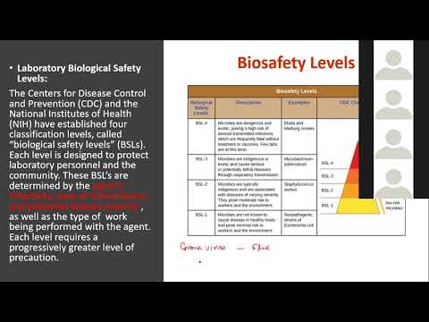 Openstax Microbiology Lecture Ch#13 Professor Banhi