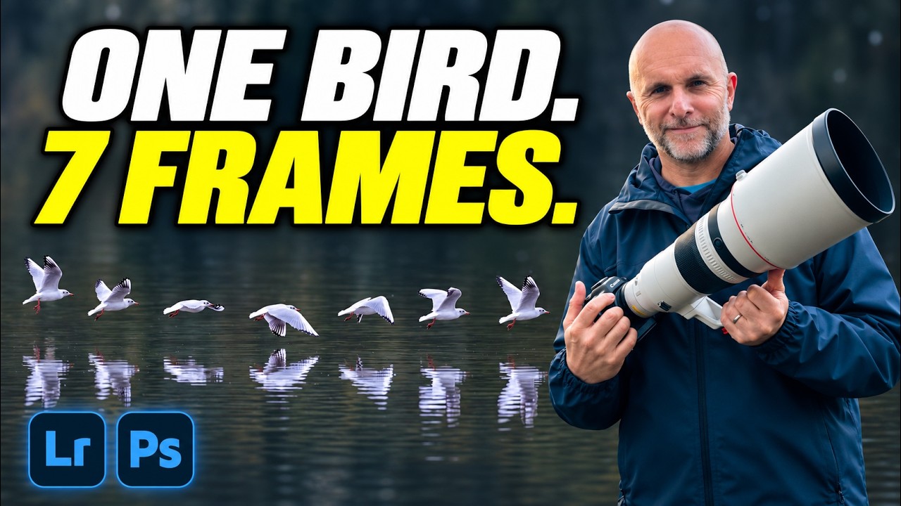 Creating a Bird in Flight Sequence in Photoshop (Zero AI)