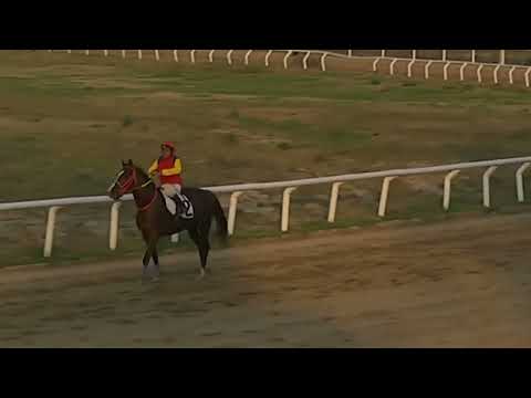 CARRERAS SINT FLORIDA 220908 c08- 1° URIANO STORM