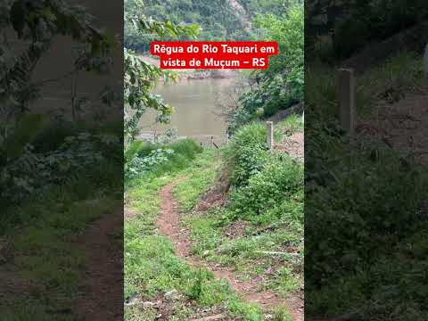 Régua do Rio Taquari em vista de Muçum – RS! #rio #riograndedosul