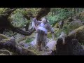 Come Back As A Flower - KAINA (Official Video)