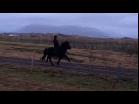 Tromma frá Bjarnanesi