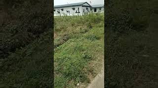 #$$$####The warriors.feeling proud Indian army 🪖🪖🪖🪖. Braveheart heroes....