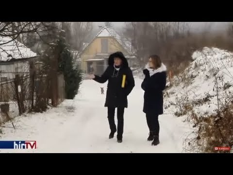 ízületek és lábak fájdalmainak táplálása ismétlődő fájdalom a csípőben járás közben