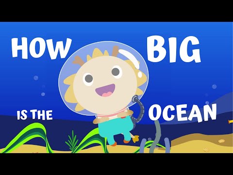 How Big Is the Ocean?  ♫ | Sea Animals Song | Wormhole English - Songs For Kids