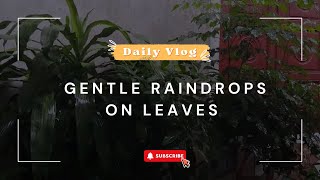 🌿 Gentle Rain Sounds in the Garden | Cozy Nature Vlog at Home