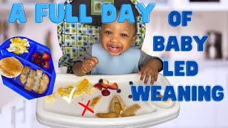 A FULL DAY OF BABY LED WEANING! 🫐 What is it? + What we eat in a day