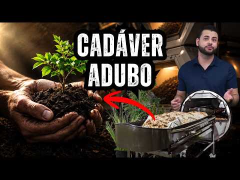 Vídeo