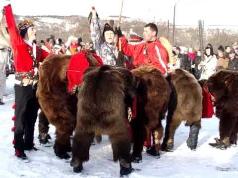 ursii din valea-arinilor