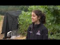 Wildfire smoke affecting grapes at vineyards in Southern Oregon