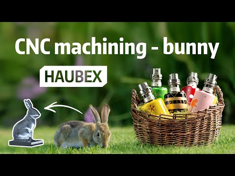 HAUBEX Automationssystem - Ostern 2022