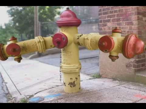 Zenotopia- Hydrant Hydra