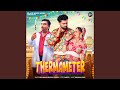 Thermameter