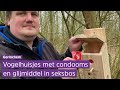 Vogelhuisjes gevuld met condooms moeten soa-besmettingen voorkomen