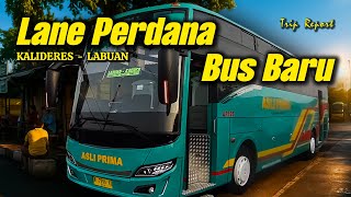 Download lagu ASLI GANTENG ABIS‼️ Naik bus baru SINGLE GLASS PO ASLI PRIMA Lane Perdana Kalideres - Labuan😱🔥 mp3