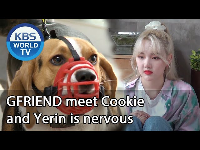 הגיית וידאו של Yerin בשנת אנגלית