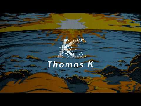 Thømas K - ICH LASS' MICH FALLEN (prod by. Thømas K) [Offizielles Lyrics Video | @thomask.musik]