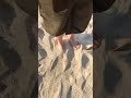 Bare foot on sand