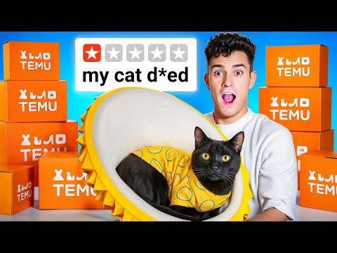 I tested the Weirdest Cat Products from TEMU...
