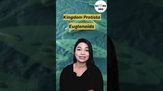 NEET 2025 🩺 Rapid 🔥 revision | Euglenoids Kingdom Protista | Biological Classification Class 11