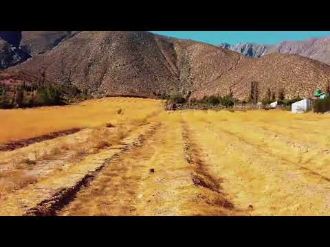 Colliguay parcela con plantación uvas Comuna de Monte Patria Región de Coquimbo
