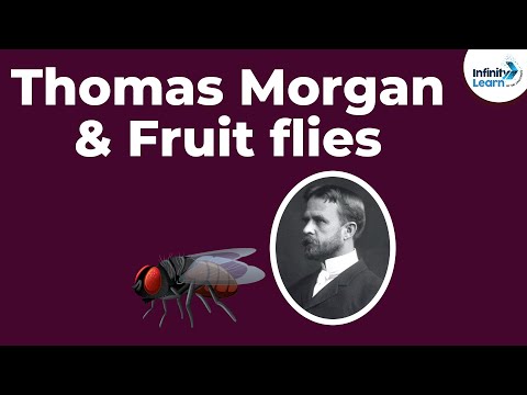 download lagu mp3 mp4 Morgan Science, download lagu Morgan Science gratis, unduh video klip Morgan Science