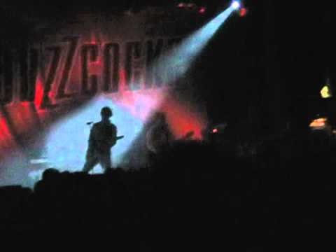 Buzzcocks, Admit Your Shit