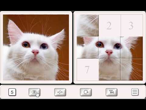 Guess the Cat: Tile Puzzle Video