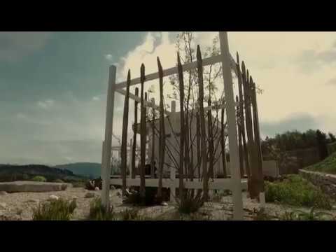 Amelanchier serviceberry - edible fruit, profile