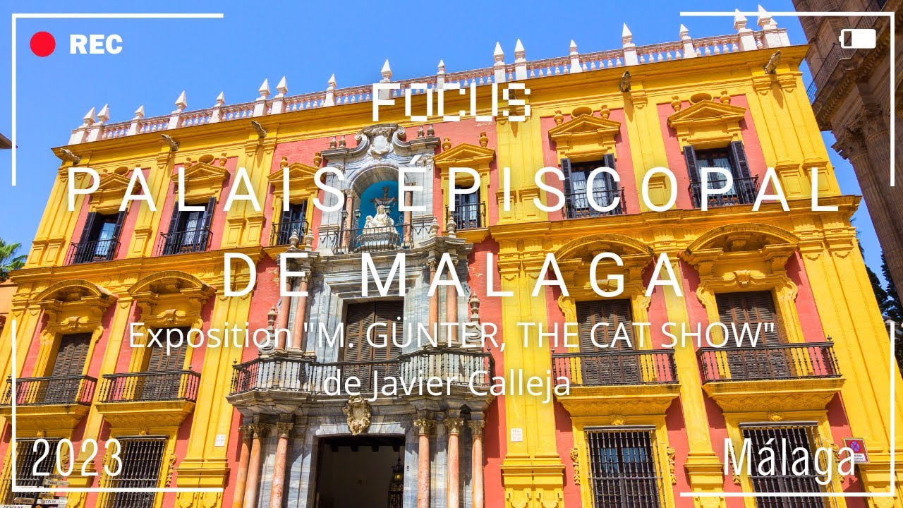 Exposition "M. GÜNTER, THE CAT SHOW" de Javier Calleja au Palais épiscopal de Malaga.