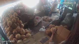 Lang-Lang Agdao Public Market