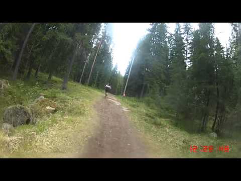 Hälleforsterrängen 2015 - 10 km (Löparperspektiv, kort)