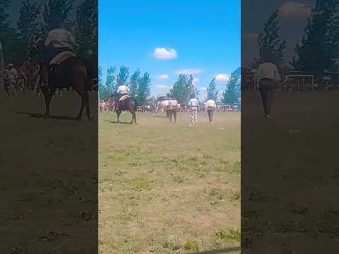 47° fiesta de la tradición buena esperanza San Luis