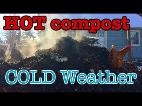 very HOT compost in very COLD weather