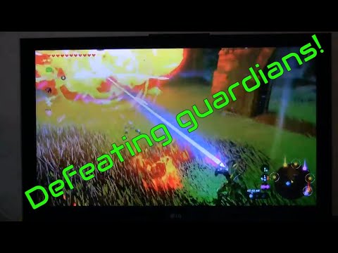 How to Defeat and Evade Decayed Guardians! BOTW