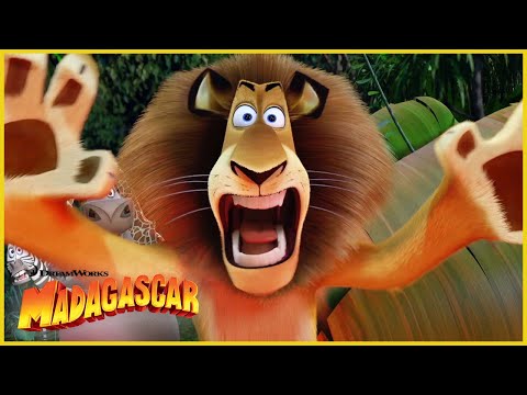¡Ahí vienen los fosa! 🦁 Madagascar | Dibujos Animados en Español