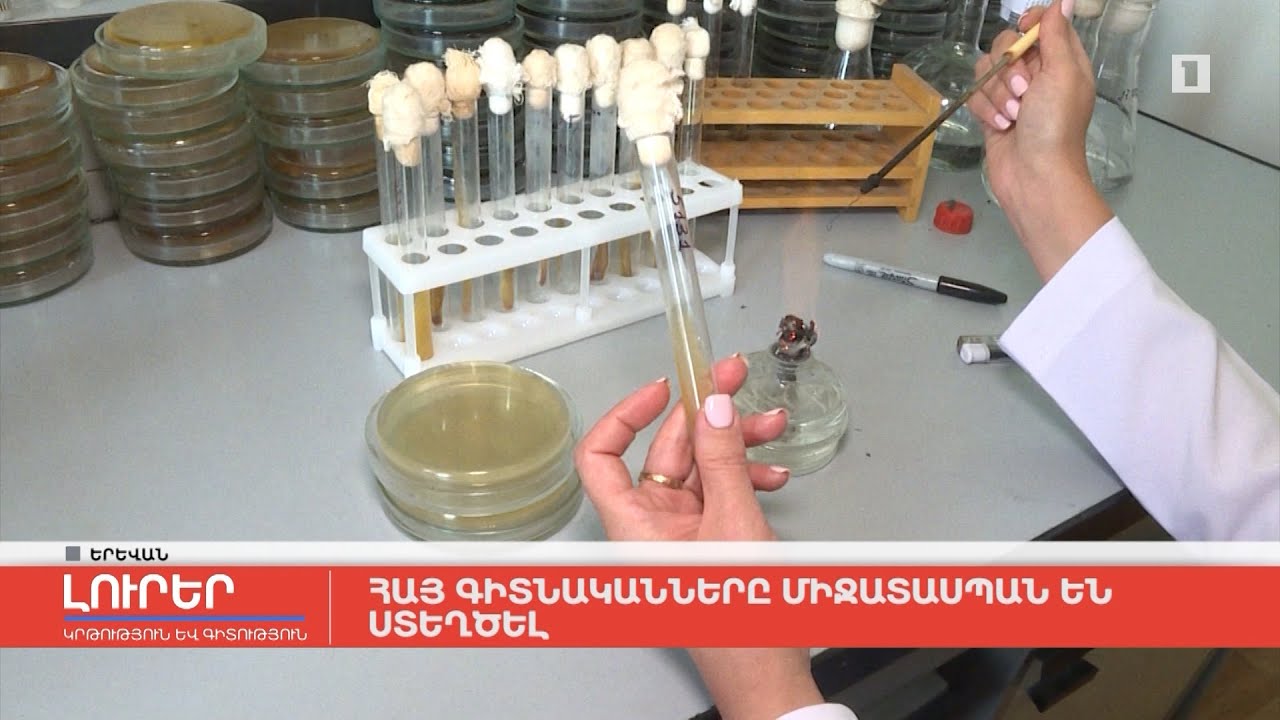 Հայ գիտնականները միջատասպան են ստեղծել