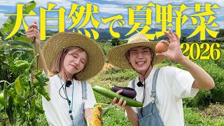 夏野菜と大自然が最高すぎる 2026 Ver.